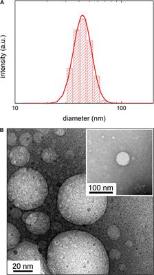 Biophysical Characterization of Membrane Phase Transition Profiles for the Discrimination of Outer Membrane Vesicles (OMVs) From Escherichia coli Grown at Different Temperatures